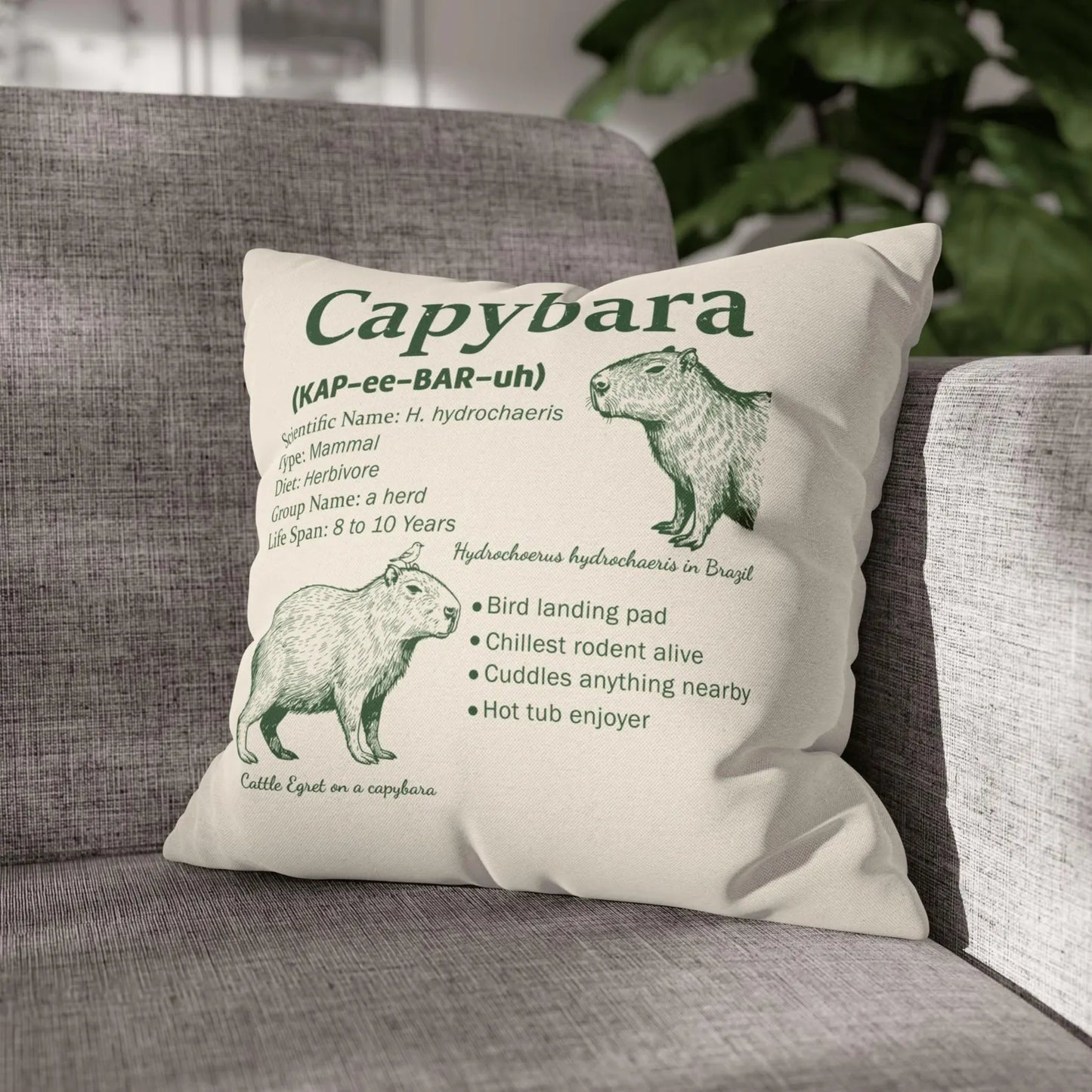 Capybara Gift Pillow Cover in Vintage Botanical Style